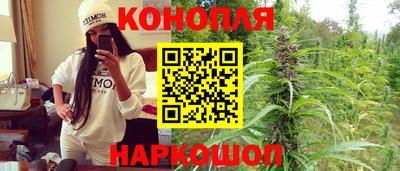 гидра Заволжье