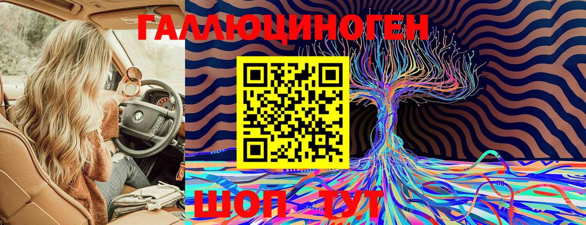 Мурино  Галлюциногенные грибы Cubensis  Вход с VPN 