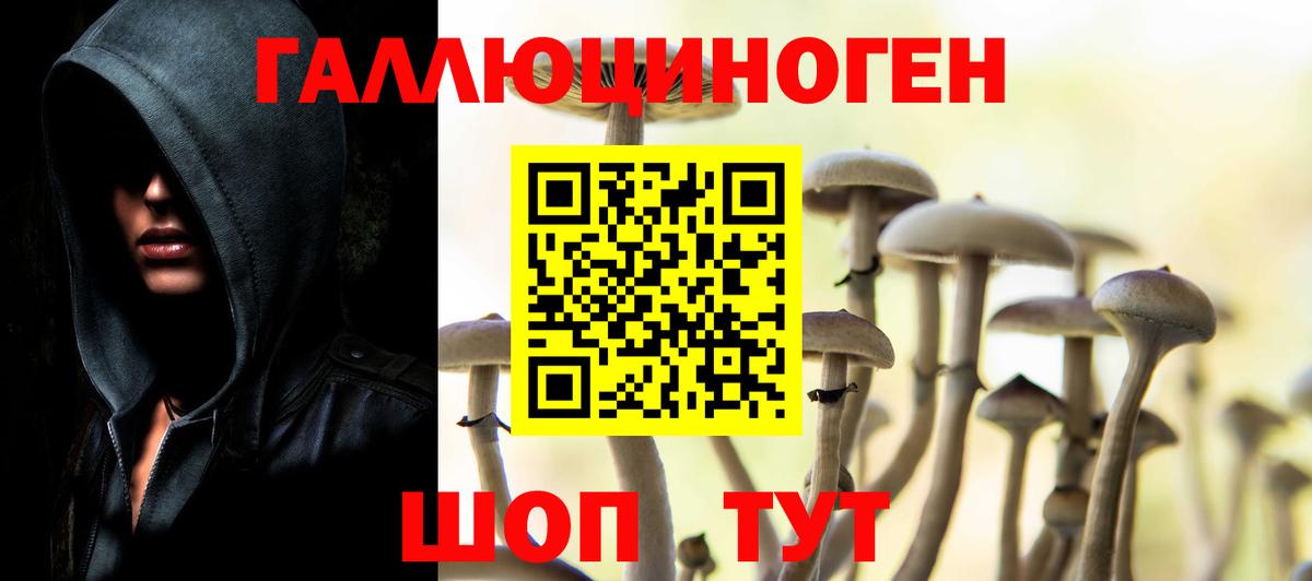 Псилоцибиновые грибы Cubensis Мурино